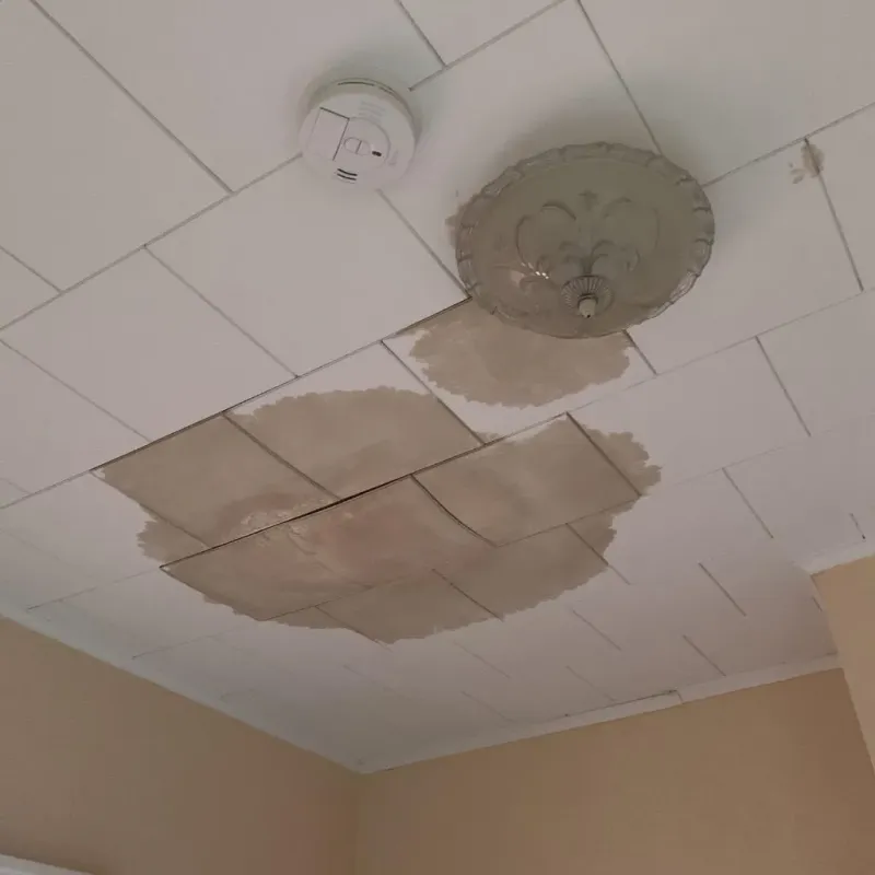 Ceiling Water Damage Repair in Shell Rock, IA