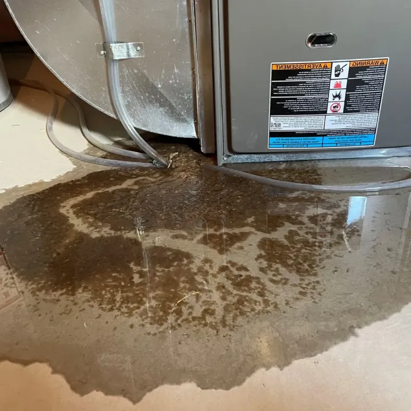Pipe Burst and Leak Restoration in Shell Rock, IA