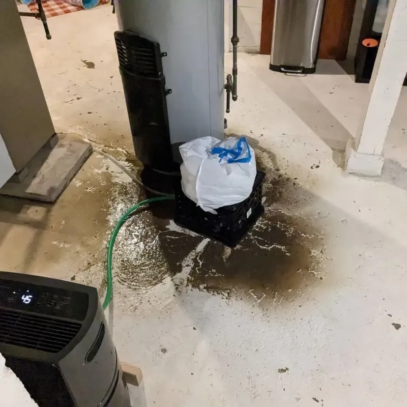 Sewage Backup Cleanup Service in Shell Rock, IA